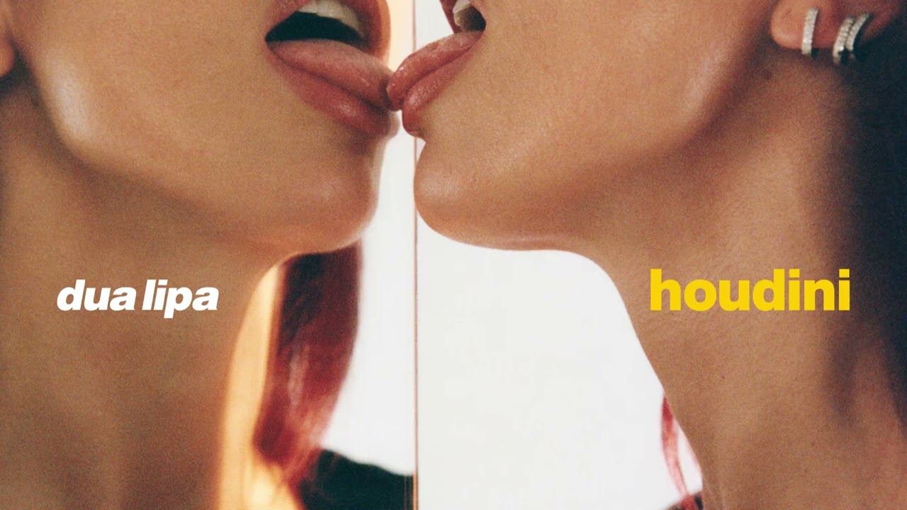 Dua Lipa - Houdini (Official Instrumental)