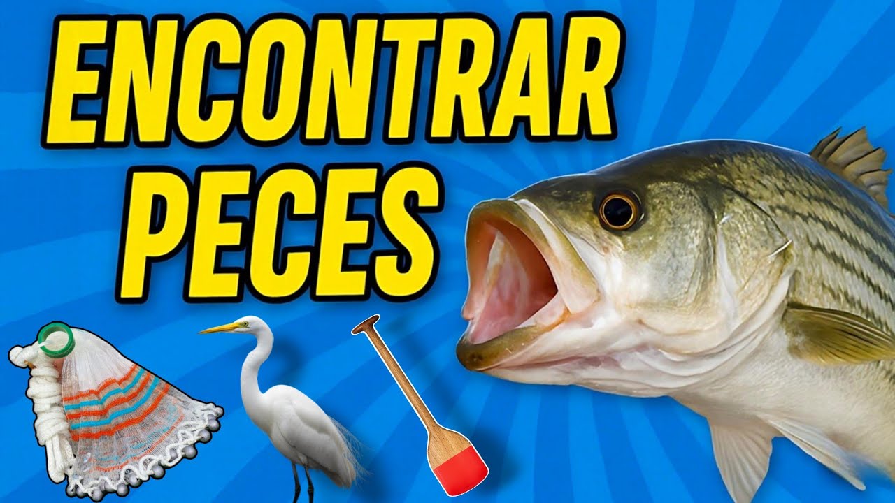 5 TRUCOS para ENCONTRAR PECES (Secretos Revelados)