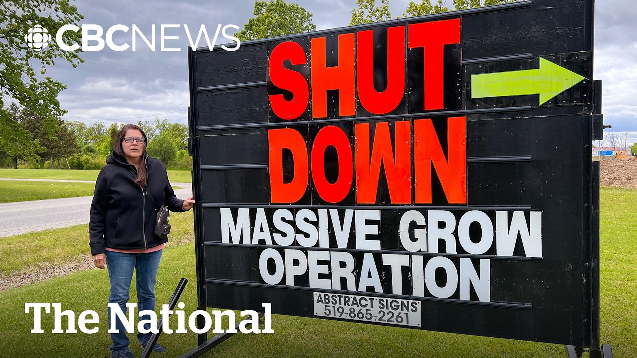 Neighbours fight to get rid of massive marijuana grow-op