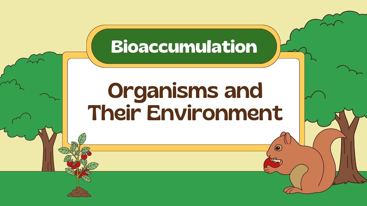 Bioaccumulation: Organisms and Their Environment#environment #toxins #ecology #accumulation