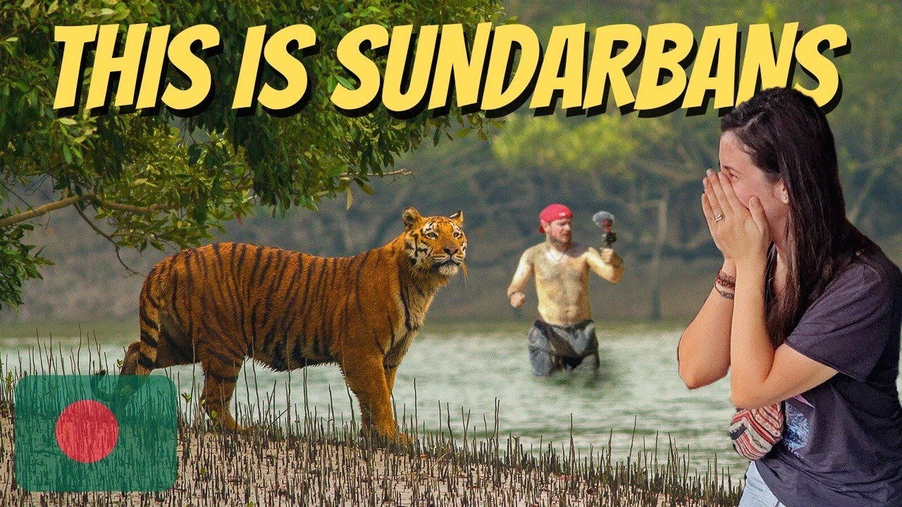 Surviving 72h In A Tiger Forest 🇧🇩 Sundarbans | বাঘ দ্বারা বেষ্টিত 72 ঘন্টা বেঁচে থাকা