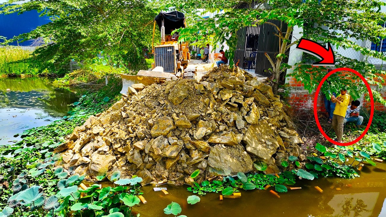Start AMAZING New PROJECT! Landfill on Flooded Area by Expert Dozer D20A Pushing Stone & 5Ton Truck