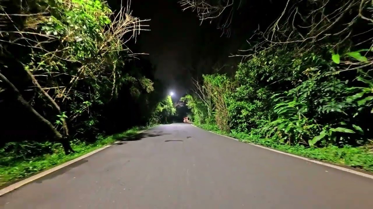 20260107_獨孤求Bike之夜騎北8北101