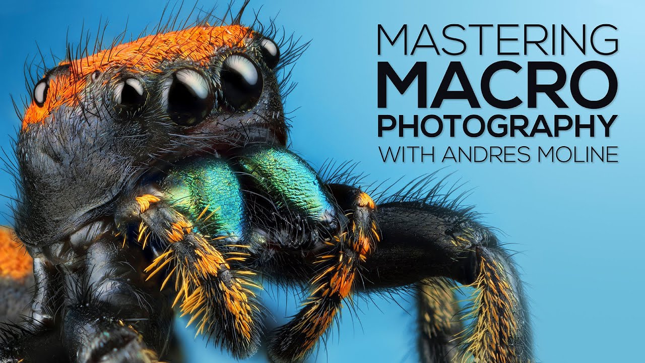 Mastering Macro Photography: The Complete Shooting and Editing Tutorial