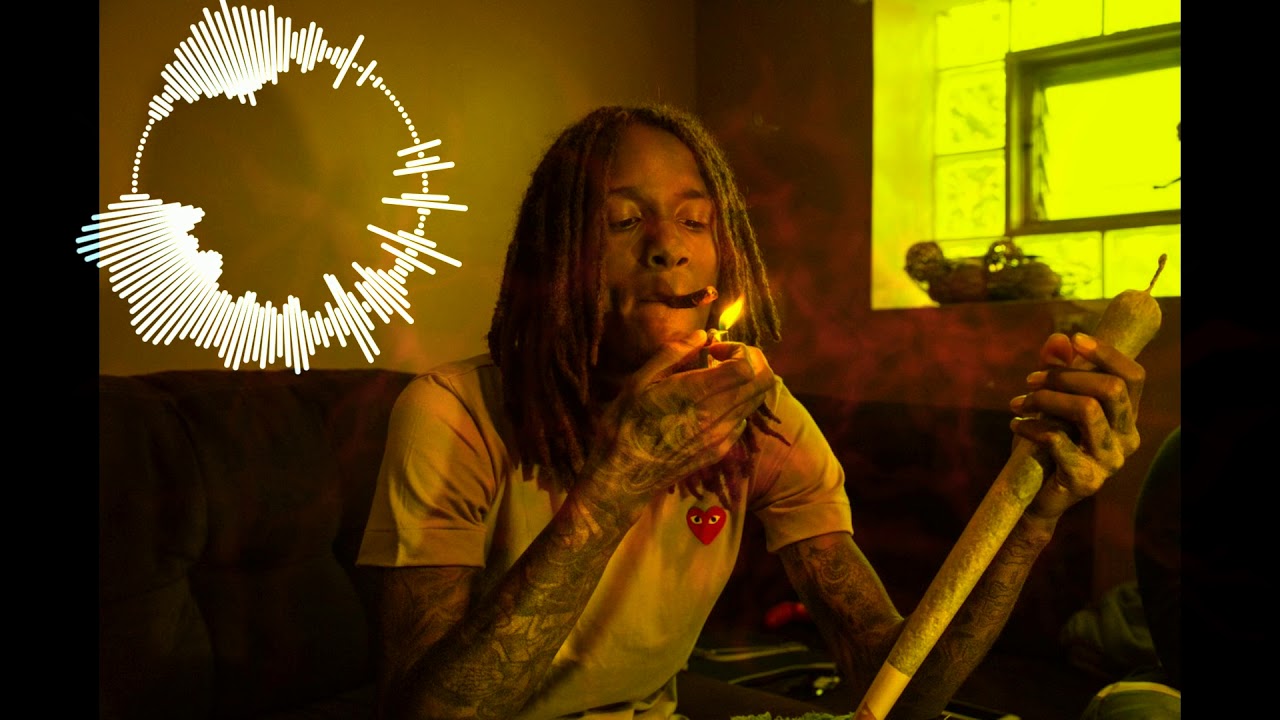 [FREE] Cdot Honcho X FBG Duck X G Herbo Type beat | 