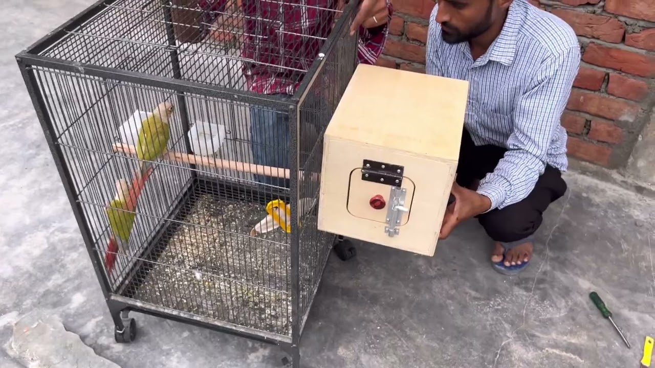 INSTALLING BREEDING BOX ON MY PINEAPPLE CONURE CAGE SETUP