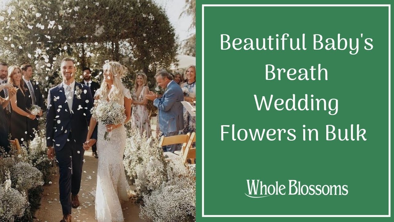 Get the Best Baby's Breath Wedding Flowers in Bulk Online