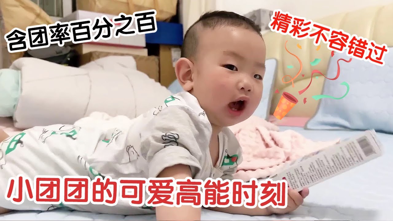 小团团的可爱高能时刻！不知不觉团团长大了，今天含团率百分之百哦！【杨翠花V】