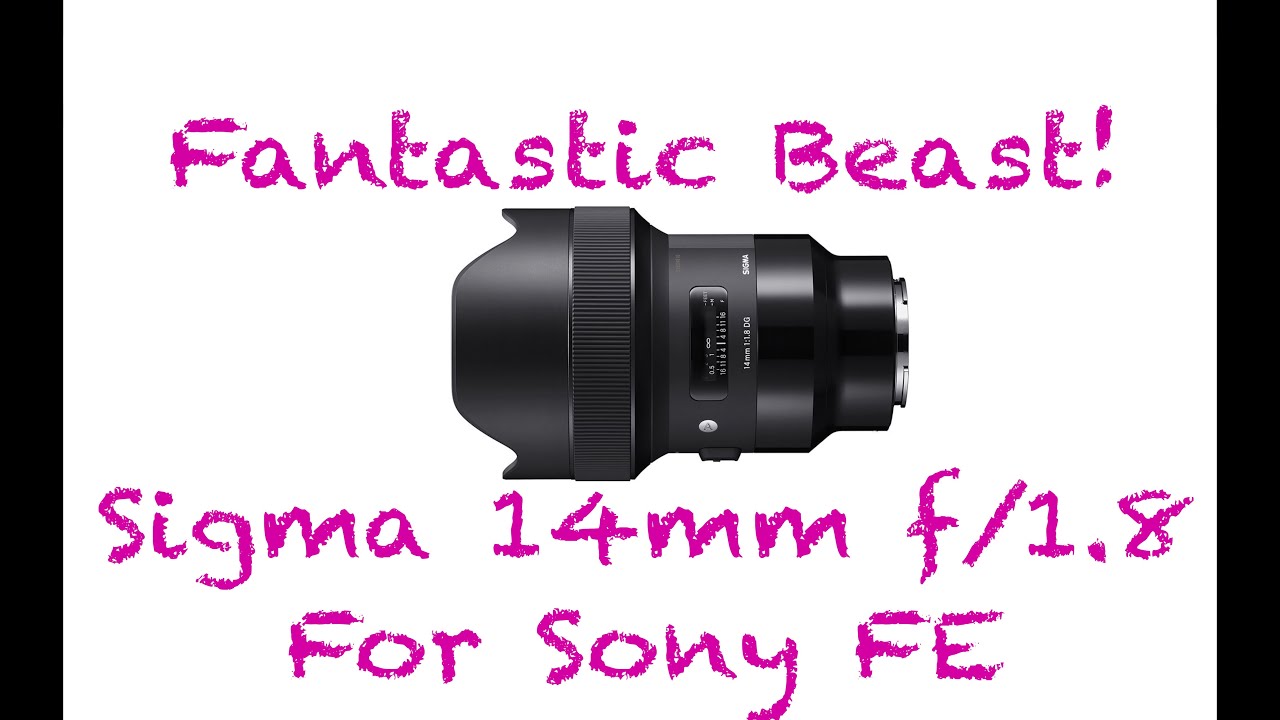 FANTASTIC BEAST!  Sigma 14mm f/1.8 Art Lens for Sony FE Mount Cameras