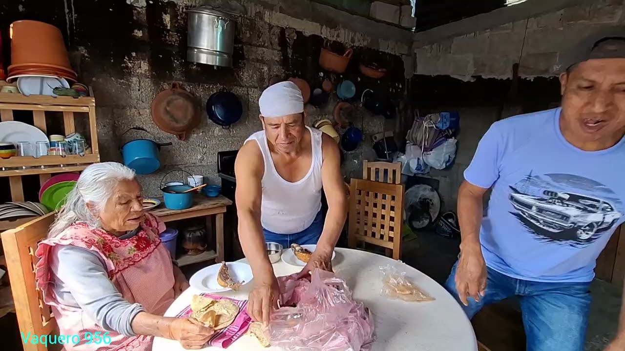 Unos pescados  fritos estamos comiendo y hechando  una platicadita con jefecita 