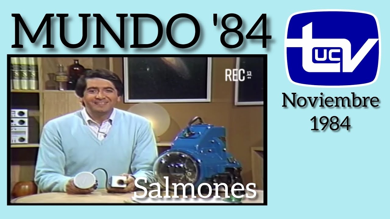 Mundo '84 de Hernan Olguin: Salmones / Canal 13 #UCTV - Noviembre 1984