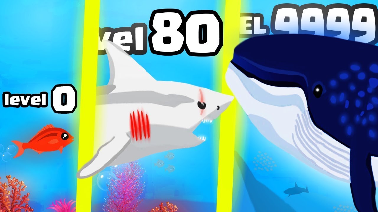 IS THIS THE STRONGEST HIGHEST LEVEL FISH BOSS EVOLUTION? (9999+ SHARK WHALE LEVEL) l HungryFin