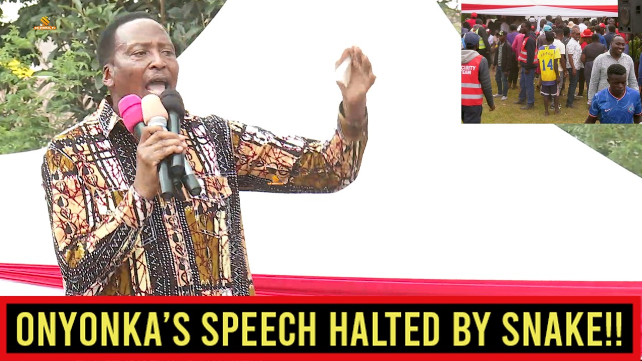 Shocking Moment!-Snake disrupts kisii senator Richard Onyonka’s fiery anti-Ruto speech in Nakuru