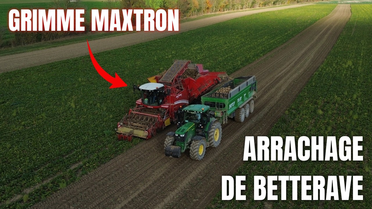 GRIMME MAXTRON & JOHN DEERE 6215R à l'ARRACHAGE de BETTERAVE