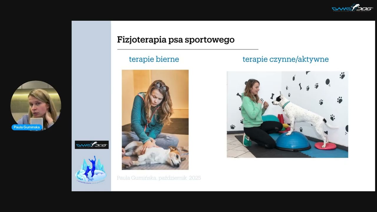 Motywacja pokarmowa w rehabilitacji i treningu motorycznym psa |Game Dog X Paula Gumińska