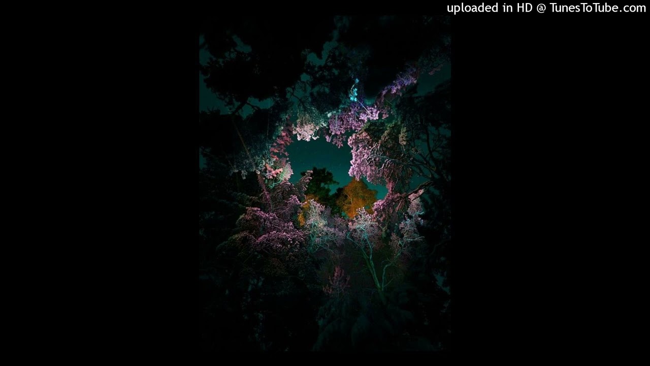 [FREE] guunr x ambient type beat "willow"