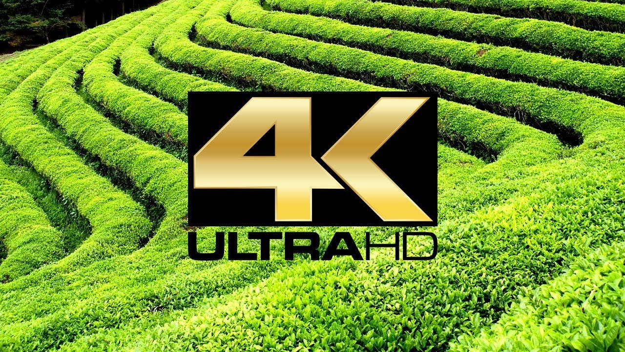 #4K ULTRA HD | Darjeeling Tour