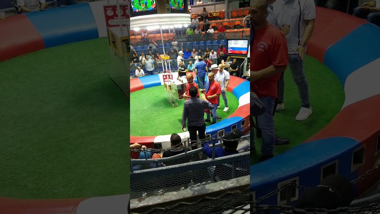 Club gallistico de Puerto Rico jugada especial de postas de $1.000 usd en adelante