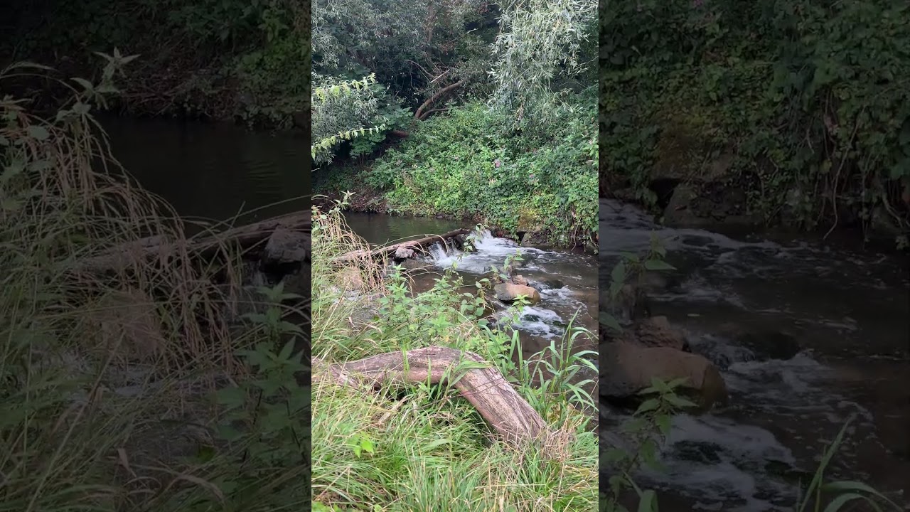 Germany small town life