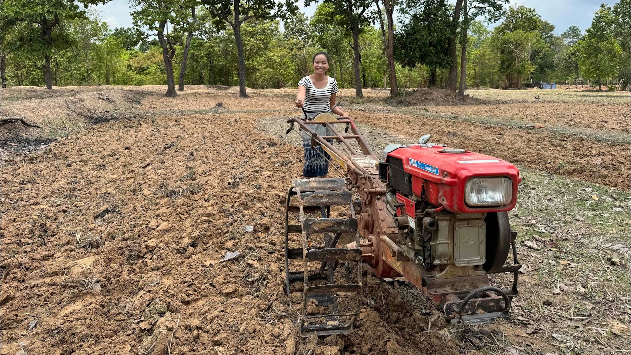 หนุ่มๆจะกล้าจีบไหมน๊อสาวลาวขับรถไถนาเอง Plowing the field getting ready to  planting rice