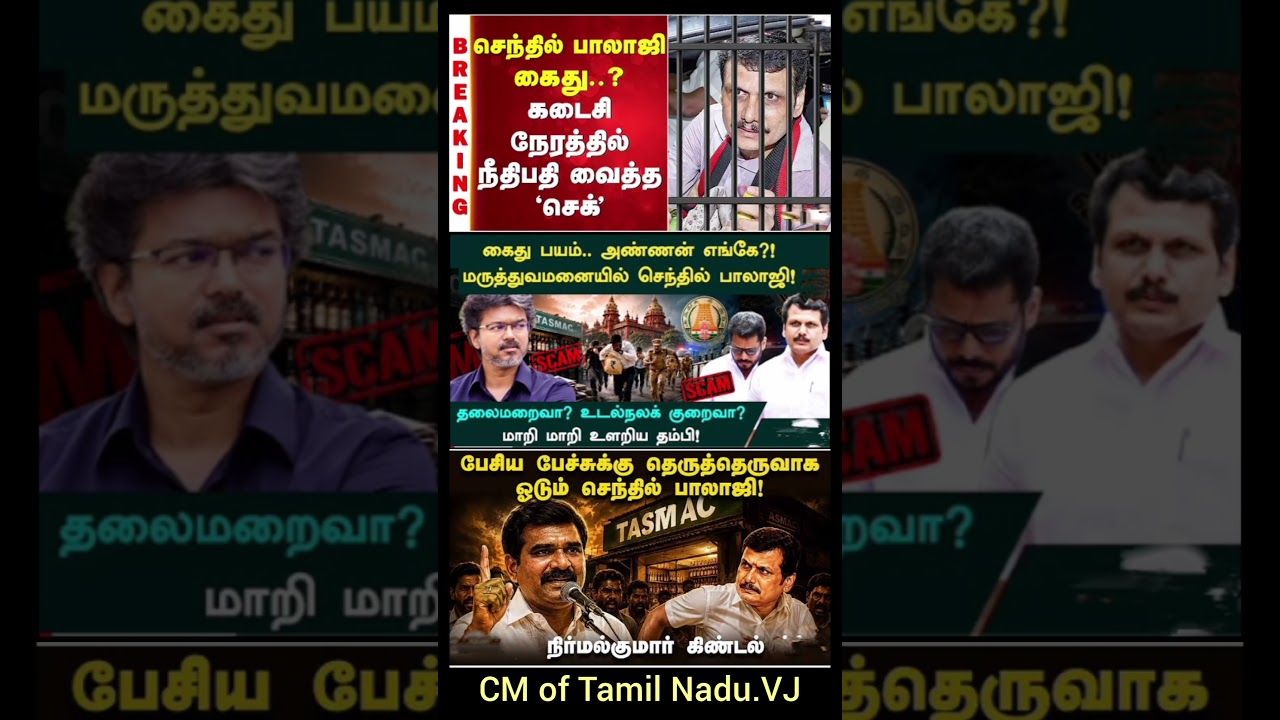 cm vijay political talk||#halo #thalapathyvijay #tamilpolitics #cmotamilnadu #tvk #vijay #tamilnews