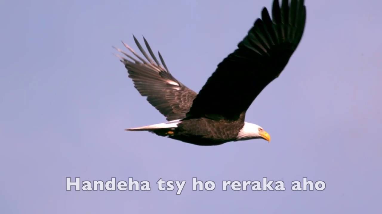 Tompo &ocirc; inty aho - FIJ