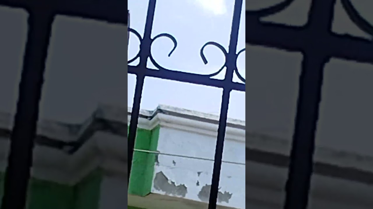 El Pikachu y el traki traki