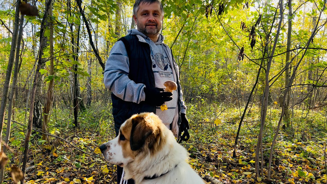 БЕЛОРУССКИЙ НЕТИПИЧНЫЙ ХУТОР ОБЗАВЕЛСЯ НОВЫМИ ЖИВОТНЫМИ. ПРИВЕЗЛИ КОЗУ-ЕГОЗУ. САЖАЕМ ЧЕСНОК НА ЗИМУ.