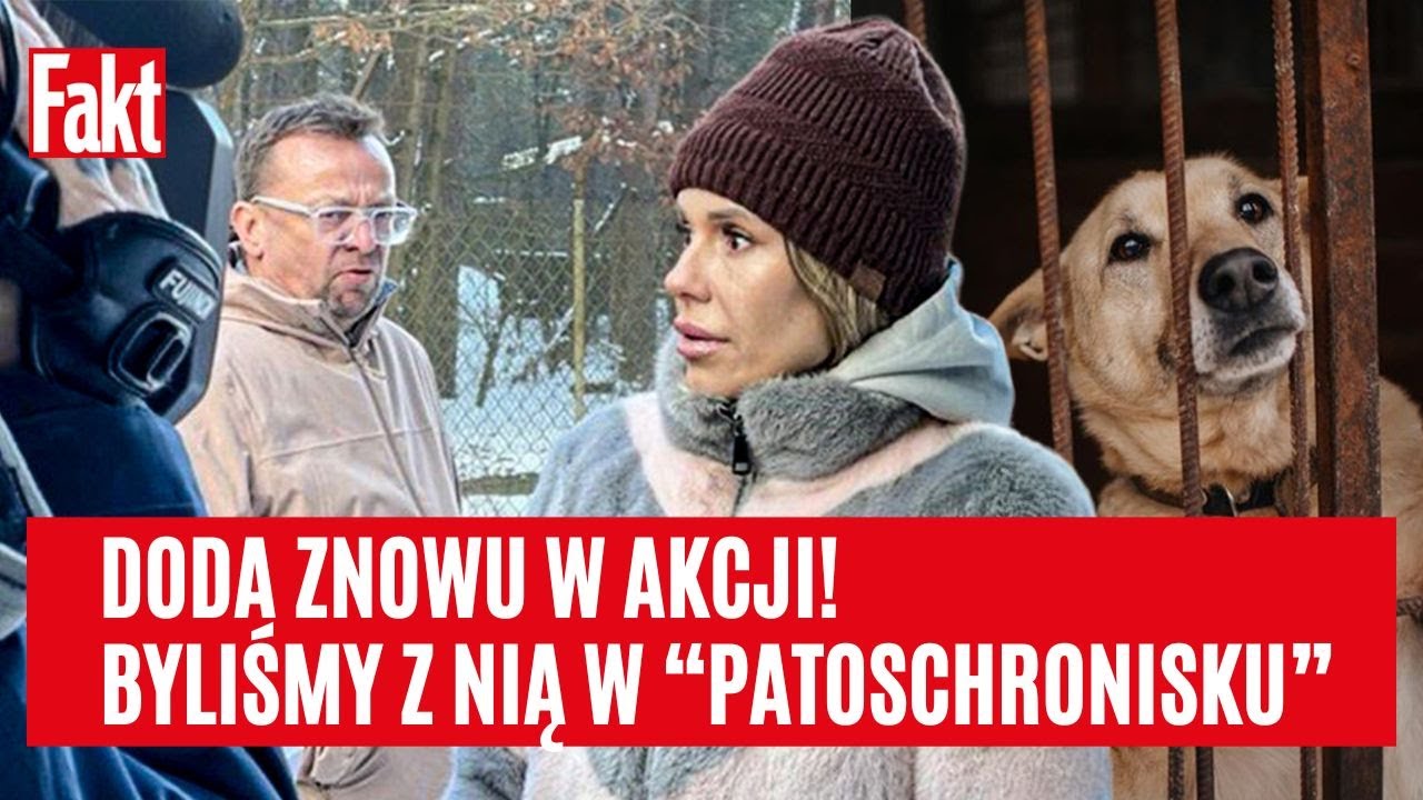 KOSZMAR W PATOSCHRONISKU! Drut kolczasty, zamknięta brama i przerażone psy! W tle LOALNY UKŁAD?!