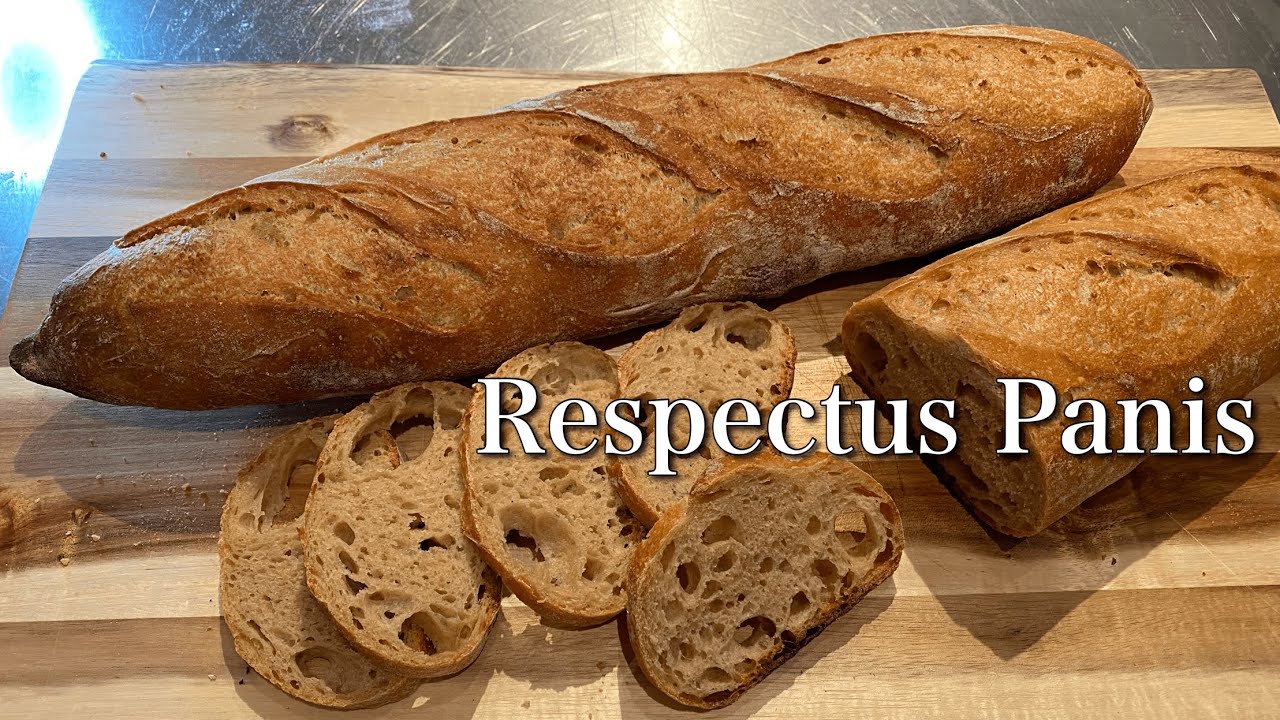 Respectus Panis Slow Bread Challenge/ 話題のスローブレッド レスペクチュス・パニスに挑戦！ 微量天然酵母で長時間発酵 全粒粉フランスパン バゲット バタールレシピ
