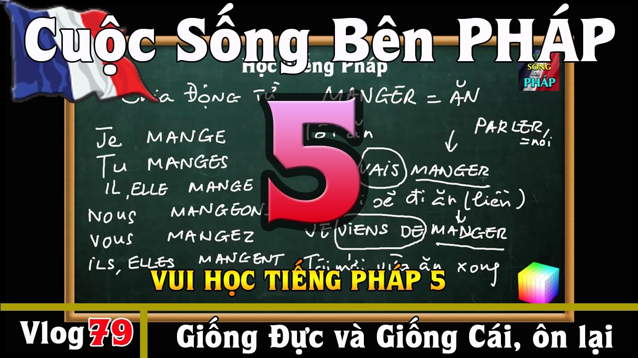 Học Tiếng Pháp #5 : Chia Động Từ, Ôn lại Masculin Féminin - Cuộc Sống Bên PHÁP vlog #79