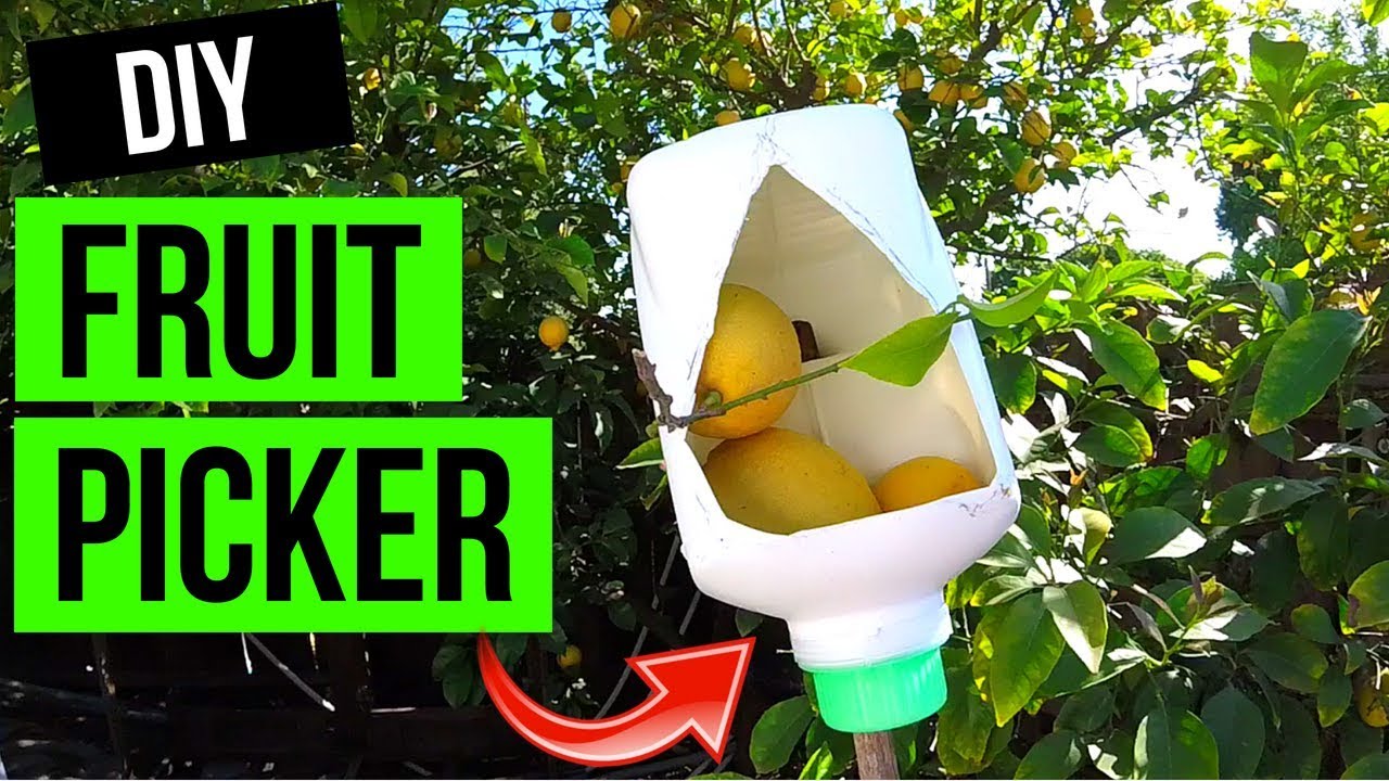 How To Make Fruit Picker Tool. Easy! -Jonny DIY