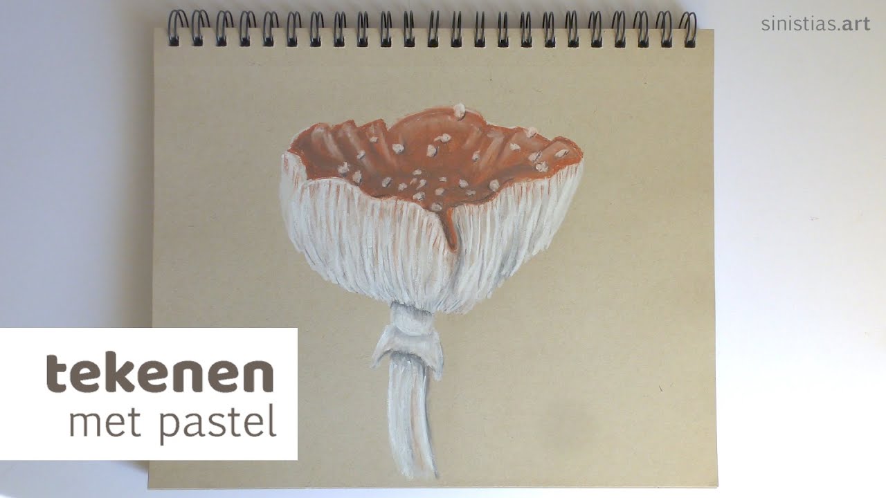 Drawing with pastel, toadstool / Tekenen met pastelkrijt, paddenstoel - 004 - DIY