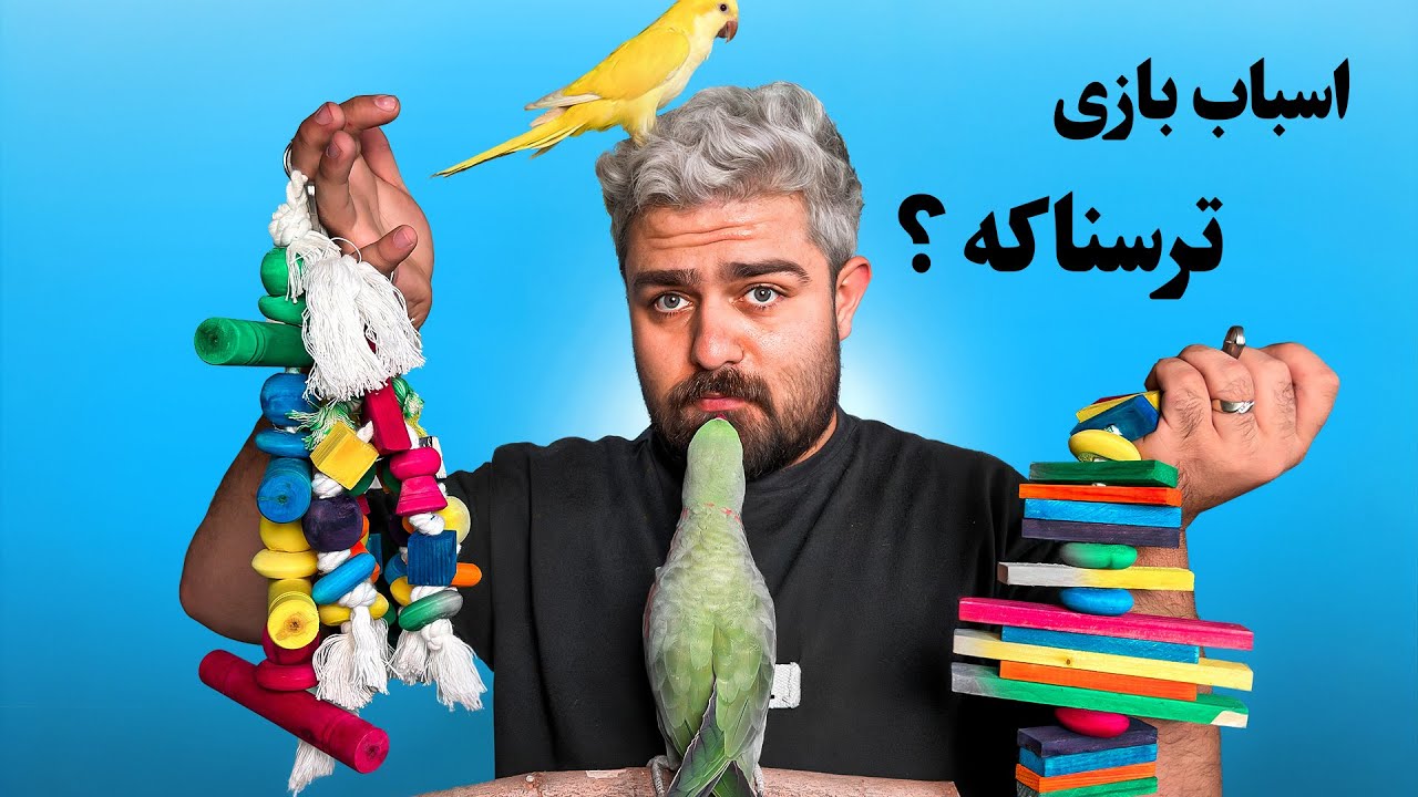 چرا اسباب بازی برای طوطی ها ترسناکه ؟