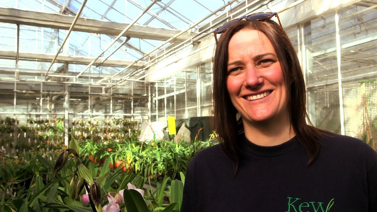 The London Story - Royal Botanic Gardens, Kew
