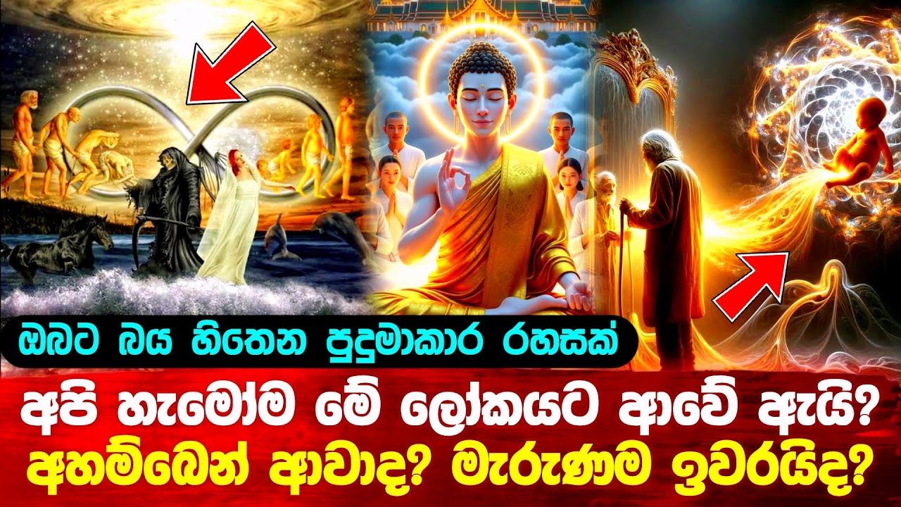 අපි හැමෝම මේ ලෝකයට ආවේ අහම්බෙන්ද? #buddha #srilanka #budu_bana 