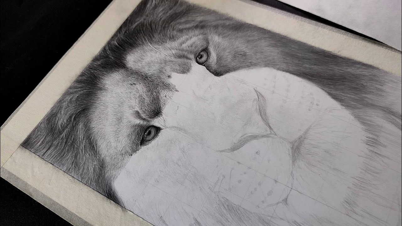 How to Draw Lion Easy Step by Step | Eye Drawing | Lesson 4