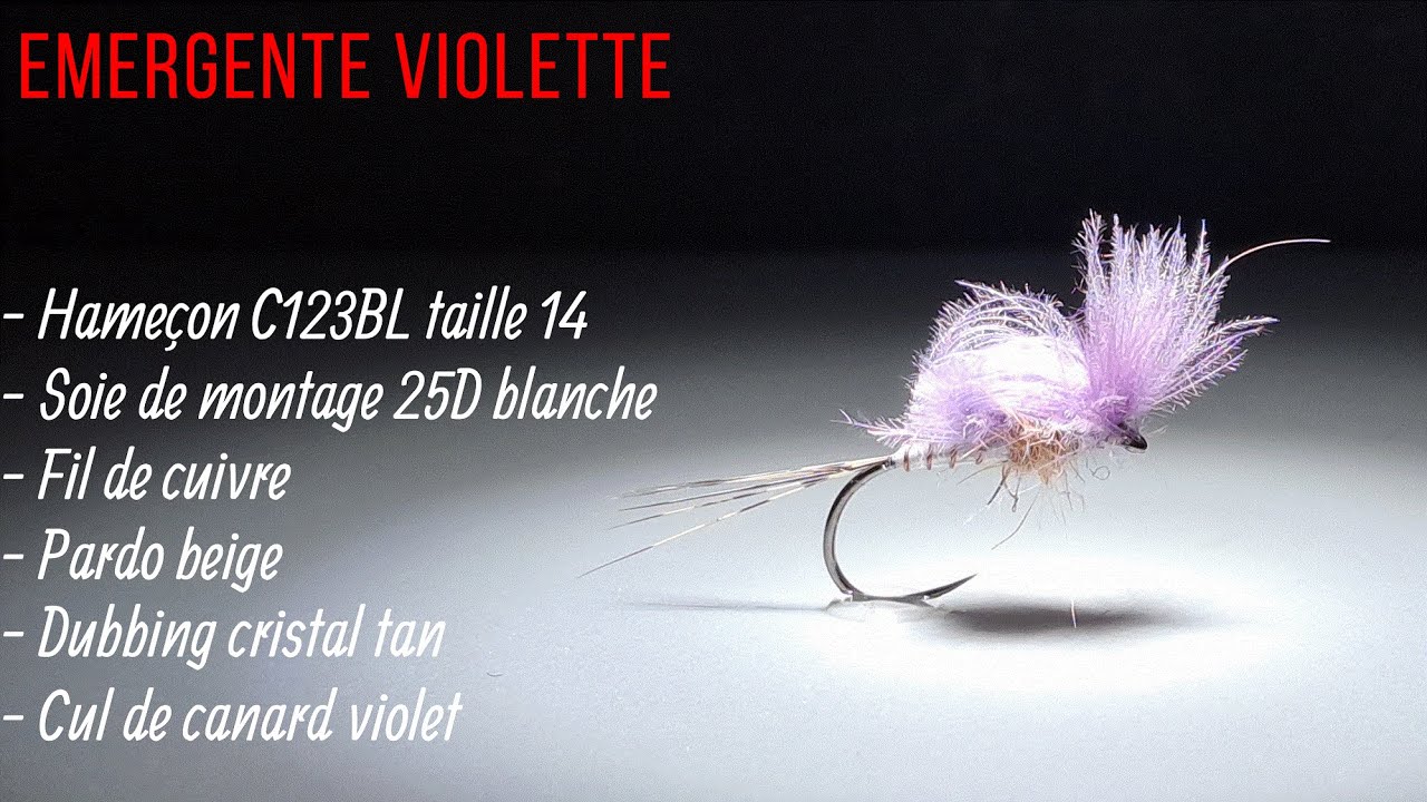 Emergente violette