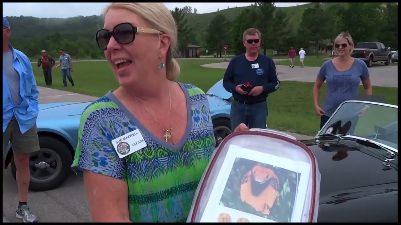 Shelby Cobra Driving Tour - 2015 Yooper Cobra Tour