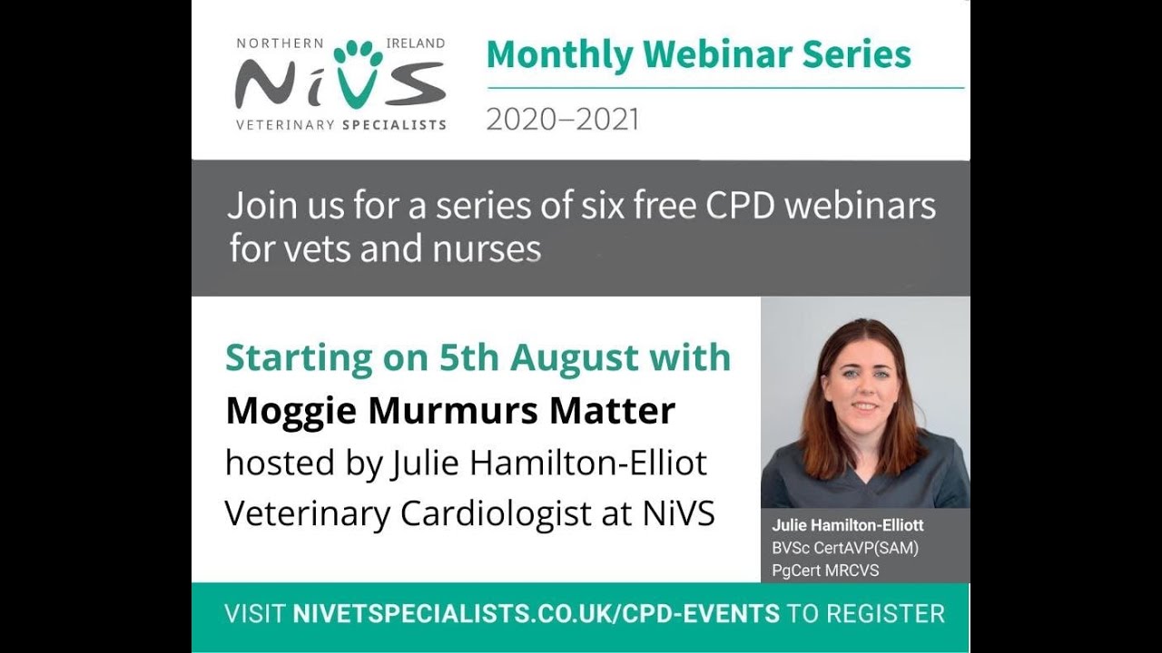 NiVS CPD series: Moggy Murmurs Matter