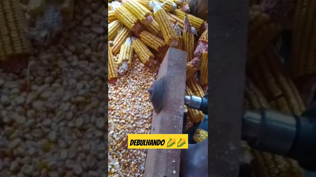 DEBULHADOR DE MILHO 🌽🌽 CASEIRO,TENHA CUIDADO COM OS DEDOS,#viral