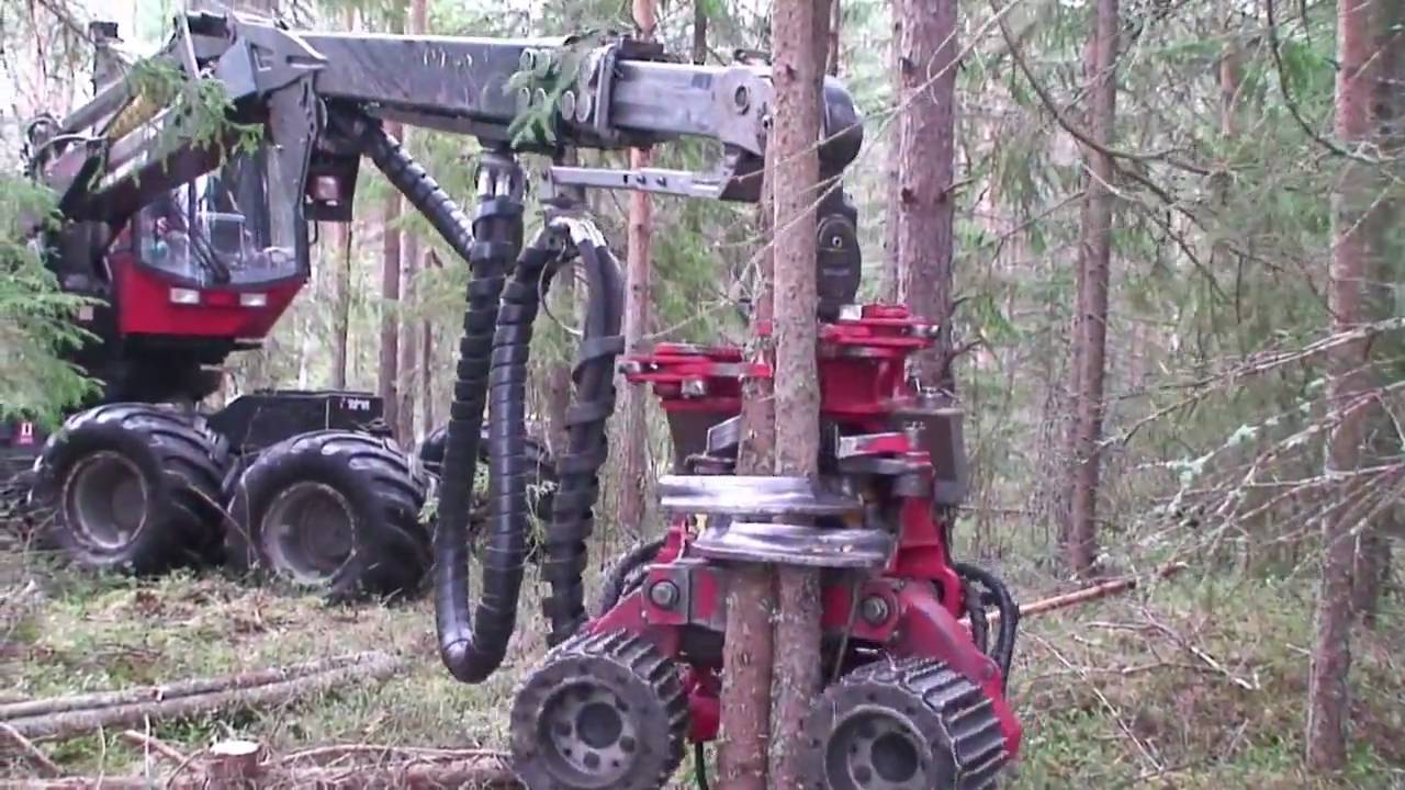 SP 451 LF with multi tree epuipment on Valmet 901.3