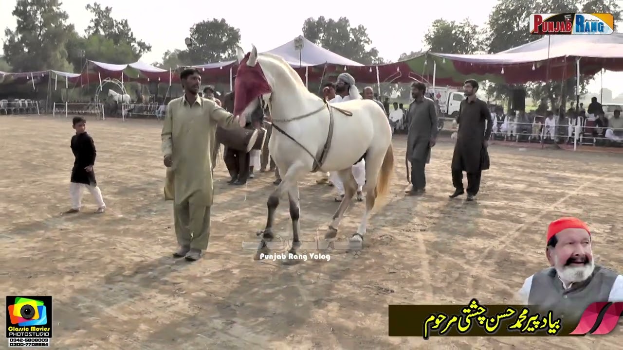 Naseeb ll Malik Fakhar ll Horse Dance ll Ni Abadi Ravi Pul Tukra 57 4 Kamalia ll 2022