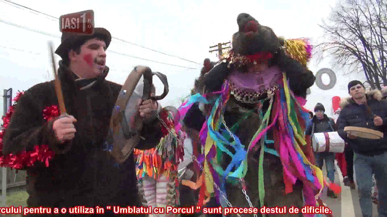 UNICAT IN ROMANIA : UMBLATUL CU PORCUL IN AJUNUL ANULUI NOU