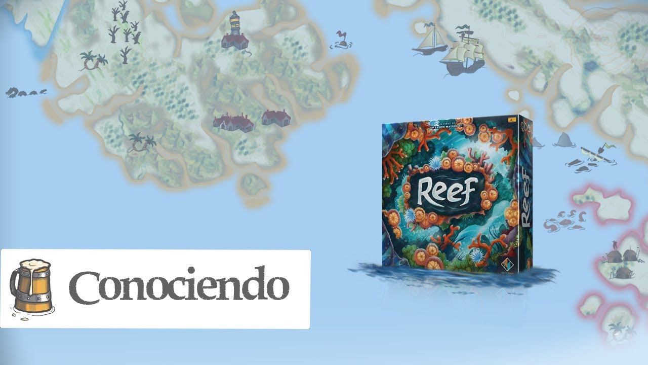 Conociendo Reef