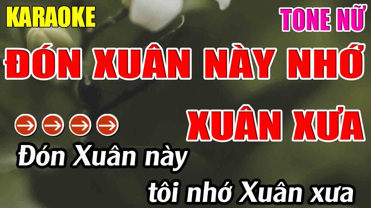 Đón Xuân Này Nhớ Xuân Xưa Karaoke Tone Nữ Karaoke Lâm Nhạc Sống 2026 - Beat Mới