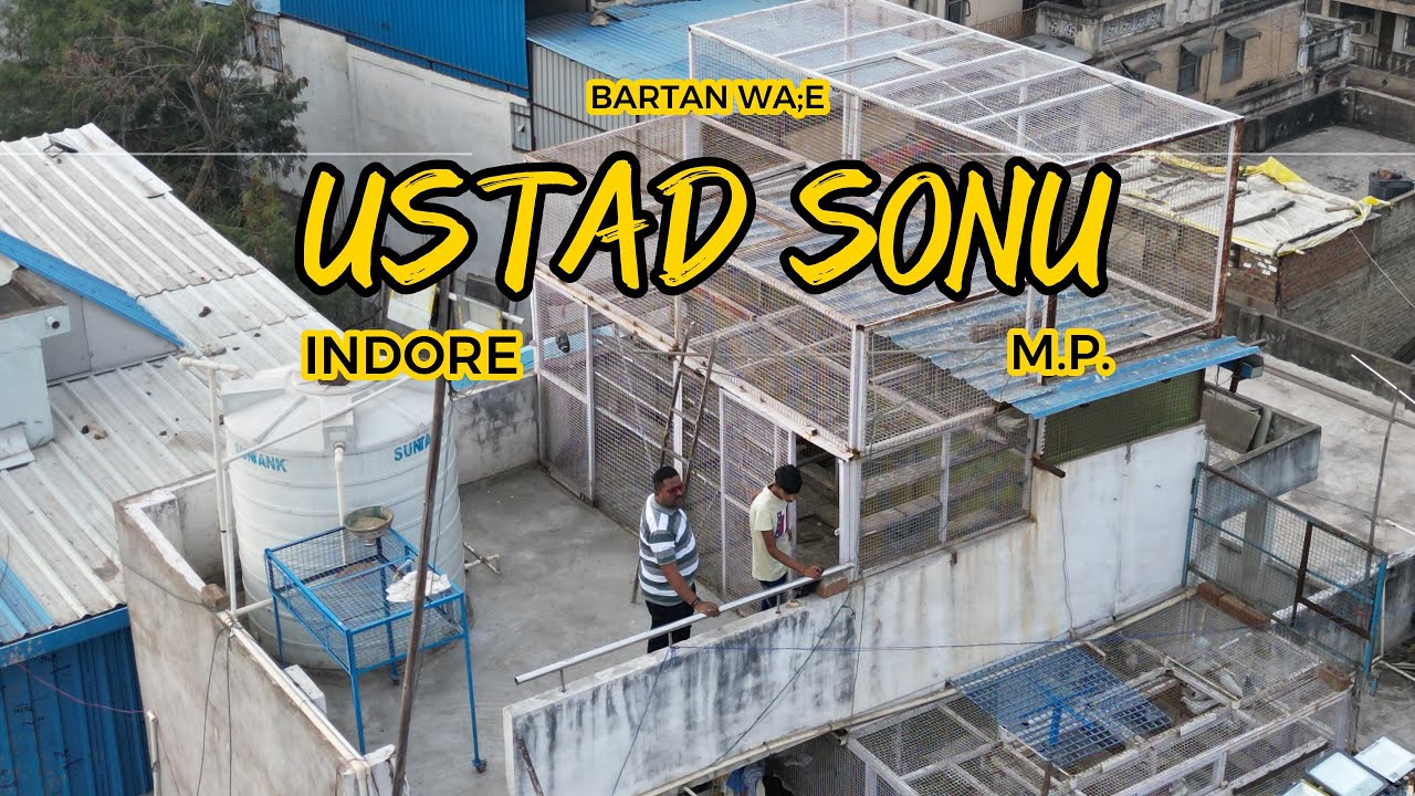 ALL INDIA CHAMPION SONU USTAD INDORE || MALWAI MADRASI KABOOTAR ||