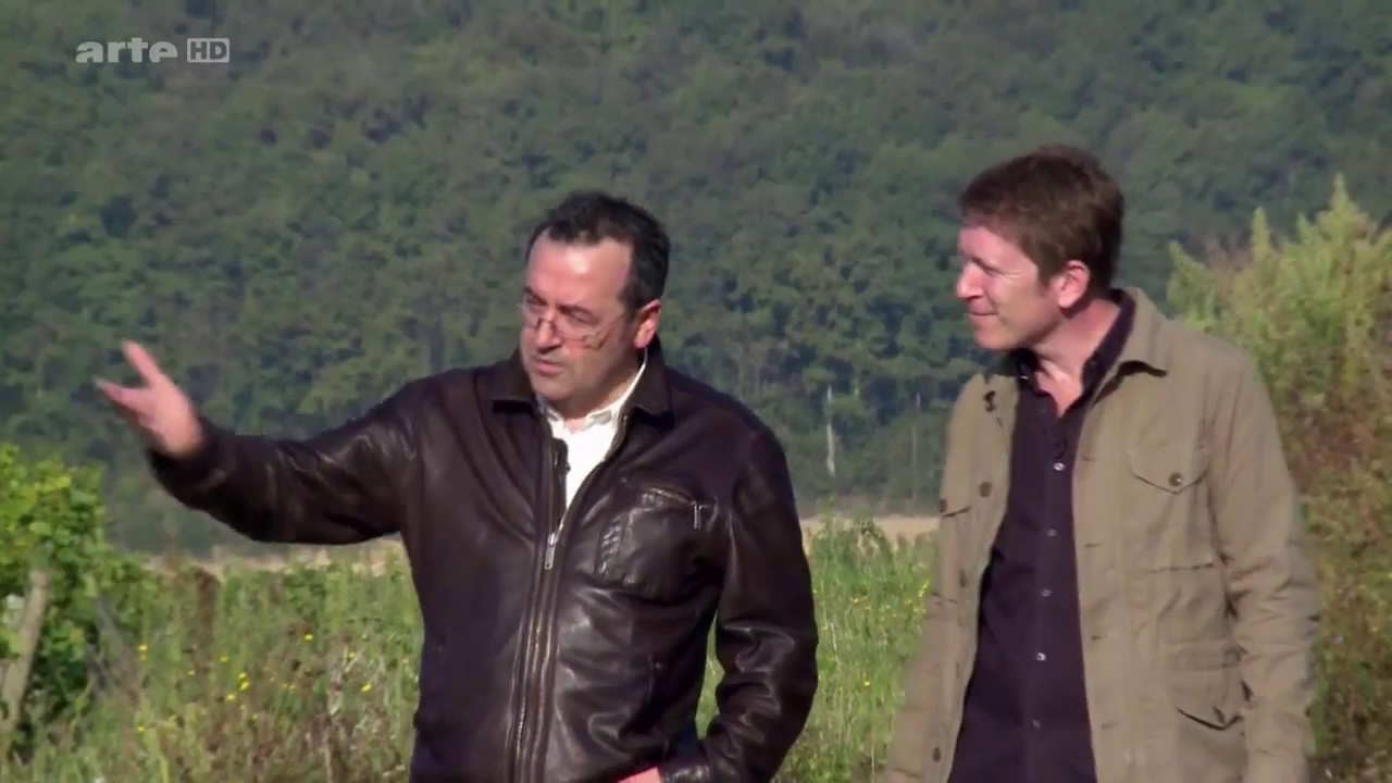 (9) Paysages d'ici et d'ailleurs - Vignoble Bourgogne