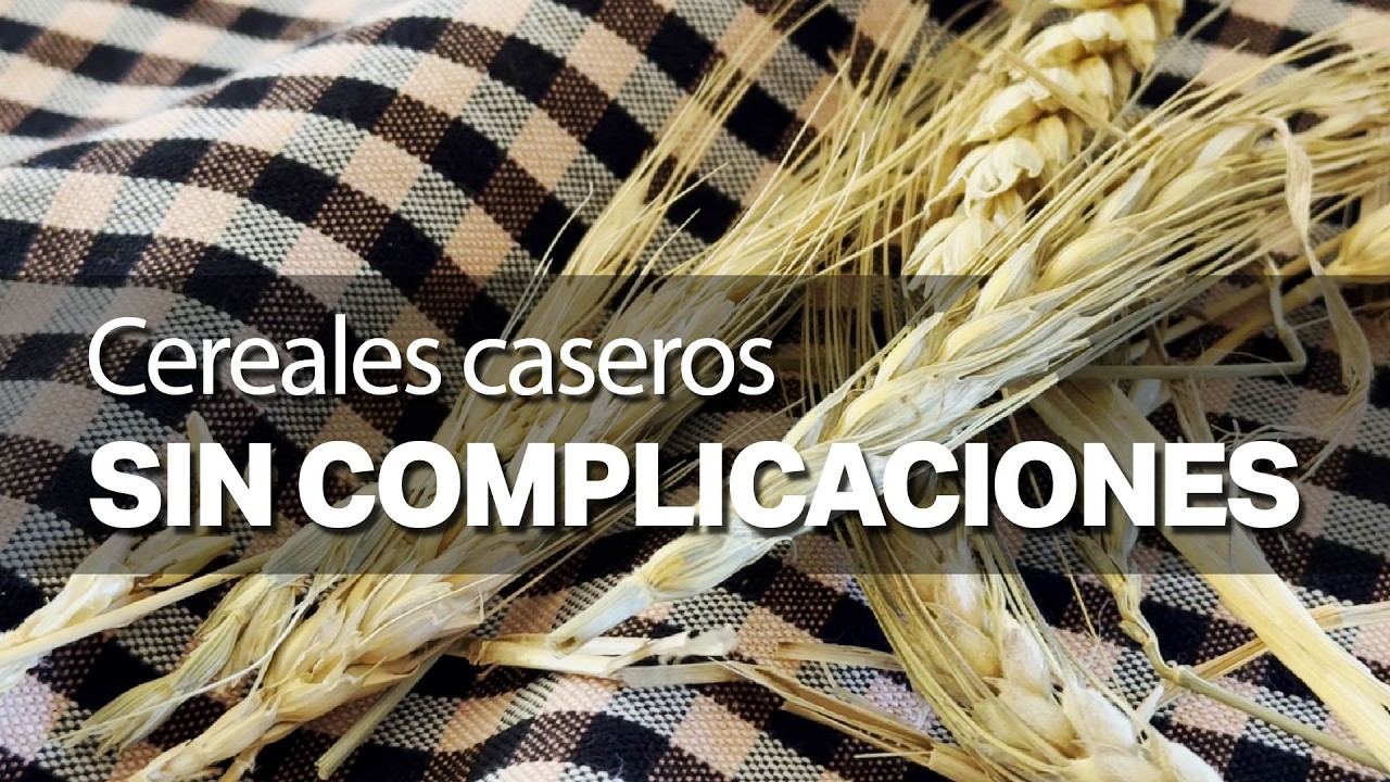 El regreso de los CEREALES olvidados 🌾 ¿Funcionan en el huerto doméstico?