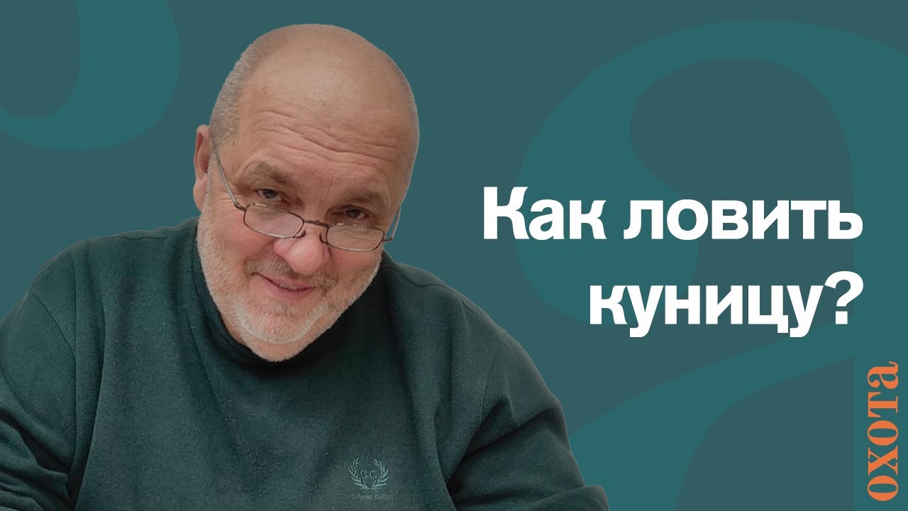 Капкан на куницу. Валерий Кузенков о капканной ловле куницы.